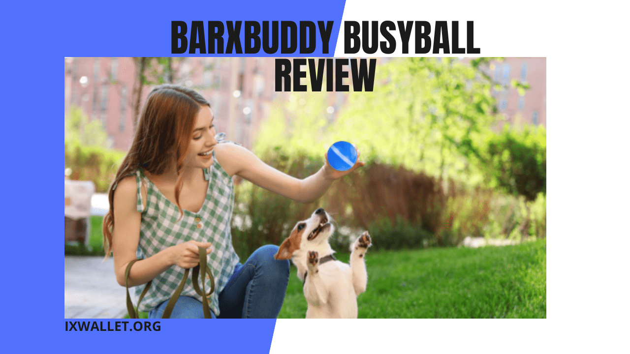 Barxbuddy BusyBall Review