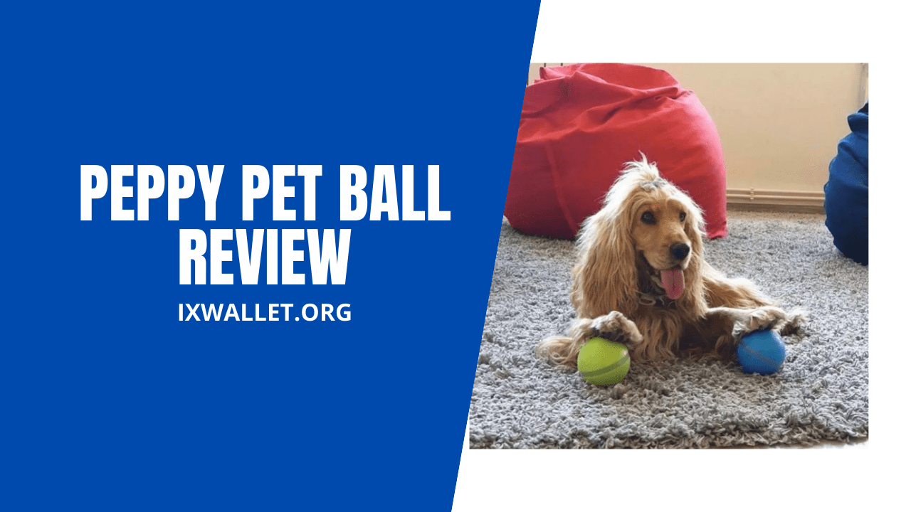 Peppy Pet Ball Review