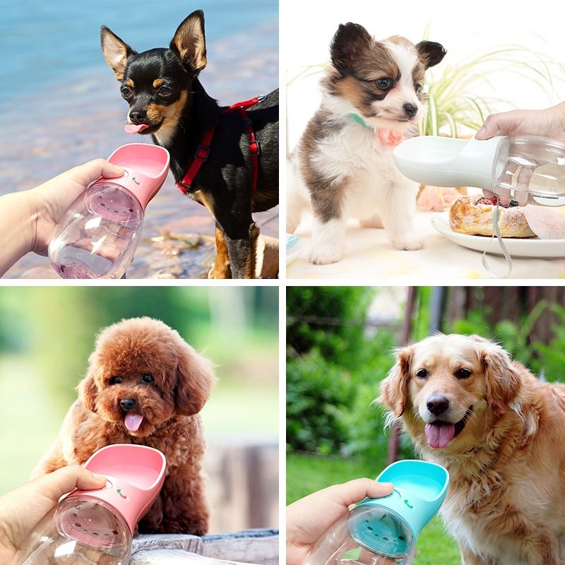 Why you need this portable water bottle for pet?