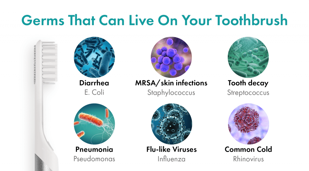 Germs that can be found on your toothbrush