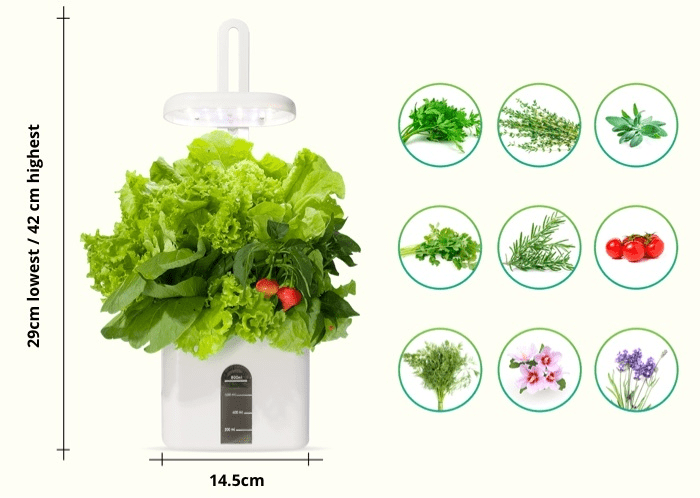 Plants that can be grown with Dr GoodRow Mini Garden