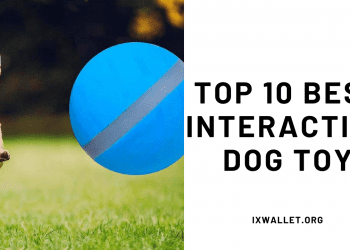 Top 10 Best Interactive Dog Toy