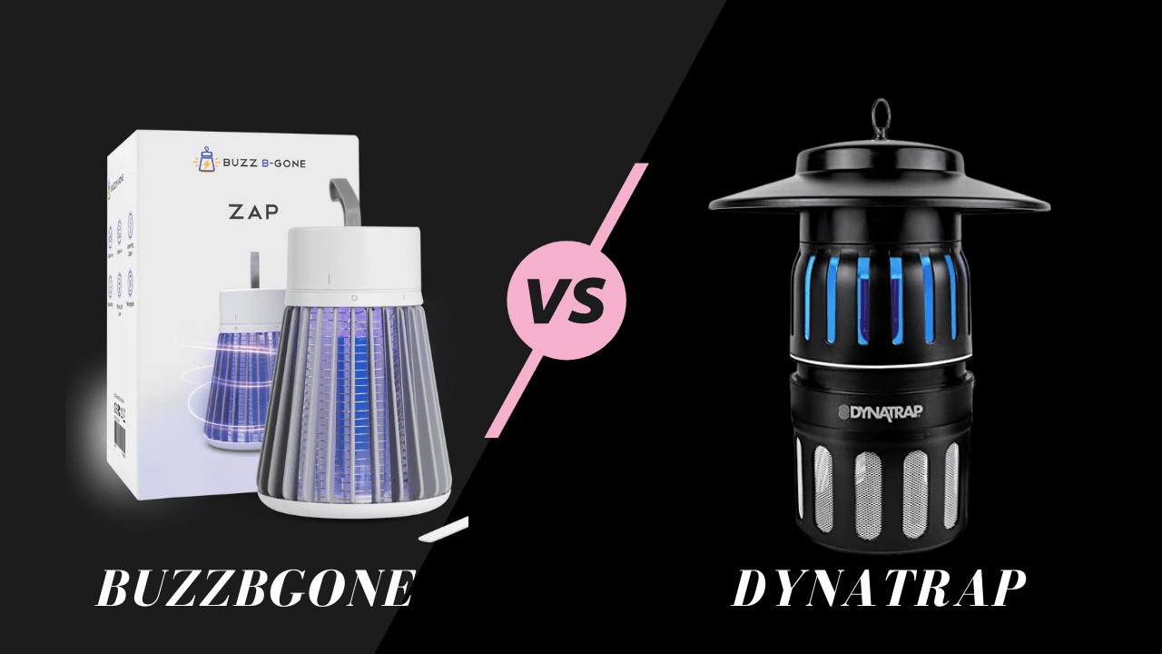 BuzzBGone vs DynaTrap: Complete Difference Explained