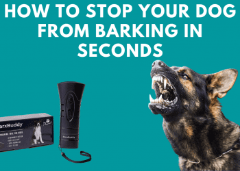 How to stop your dog from barking in seconds