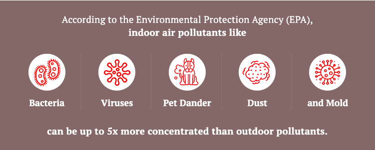 Indoor Air Pollutants According to the Environmental Protection Agency
