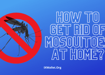 How to get rid of mosquitoes at home