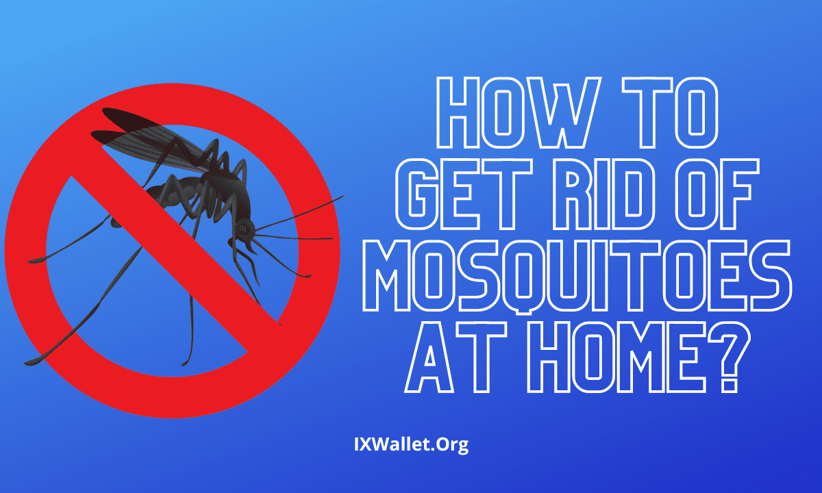 How to Get Rid of Mosquitoes at Home