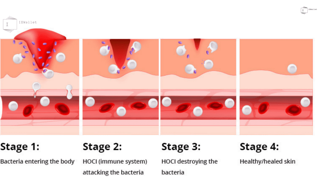 Working of HOCl in Active Skin Repair